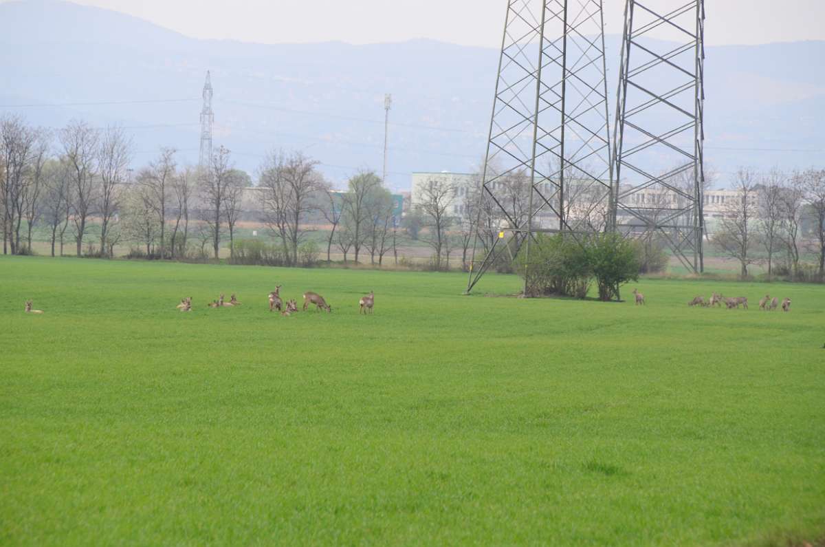 2014-03-31 14-35-14.JPG